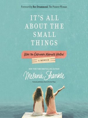 cover image of It's All About the Small Things